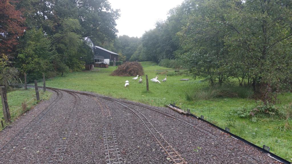 Gönse an der Strecke