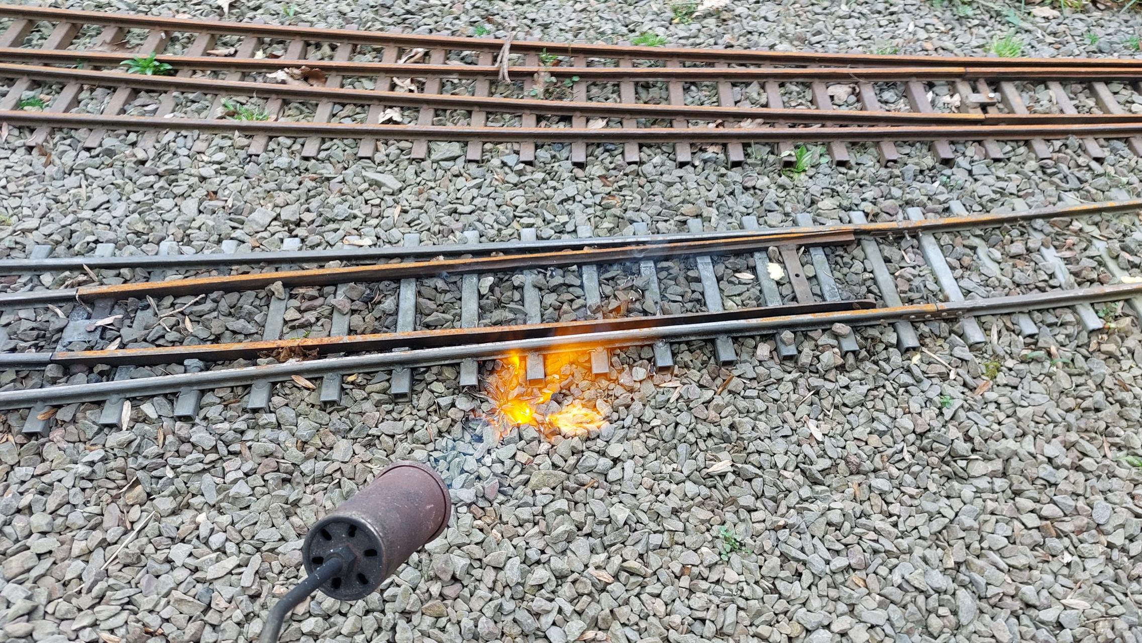 Gasflamme trocknet die Pflanzen